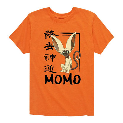 Boys' - Avatar: The Last Airbender - Momo Cute Short Sleeve Graphic T-Shirt