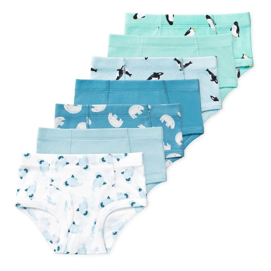 Lucky & Me Nolan Boys Organic Cotton Briefs Underwear Multi-Colored Multiple Sizes (7-Pack)