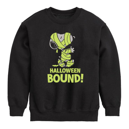 Boys' - Peanuts - Halloween Bound Glow Graphic Long Sleeve Fleece Sweatshirt