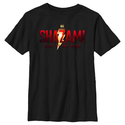Boy's Shazam! Fury of the Gods Movie Logo T-Shirt