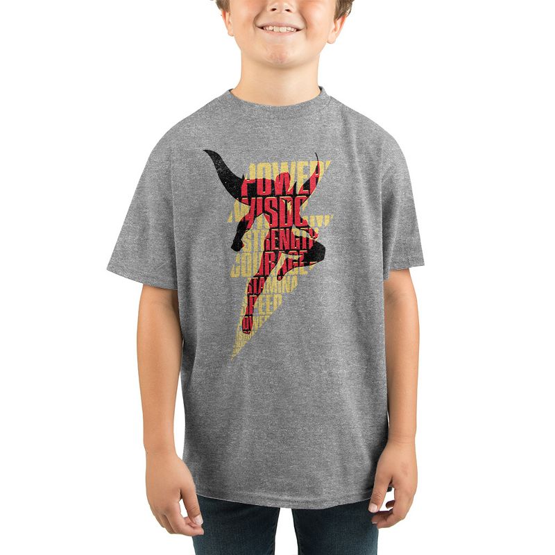 DC Comics Youth Boys Shazam! Text Lightning Bolt Short-Sleeve T-Shirt