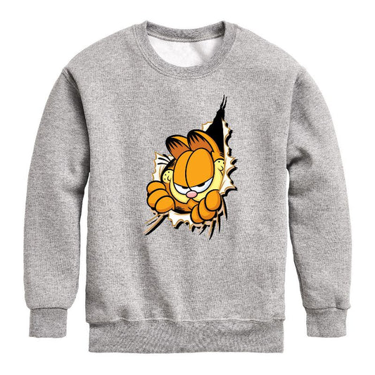 Boys' - Garfield - Peeking Out Graphic Long Sleeve Fleece Sweatshirt