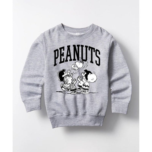 Boys' - Peanuts - Collegiate Art Graphic Long Sleeve Fleece Sweatshirt
