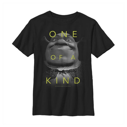 Boy's Shrek One of a Kind T-Shirt