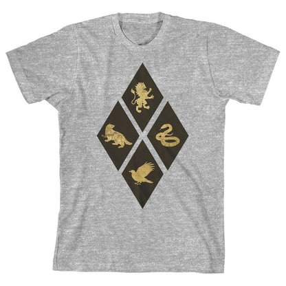 تي شيرت رياضي هيذر للأولاد من هاري بوتر هوجورتس هاوسز دايموند