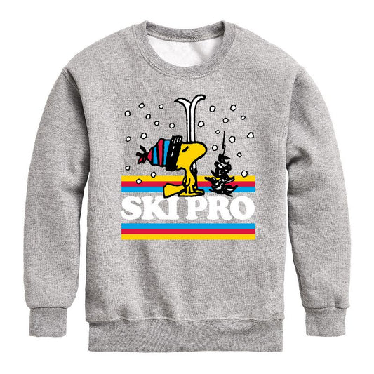 Boys' - Peanuts - Woodstock Ski Pro Graphic Long Sleeve Fleece Sweatshirt
