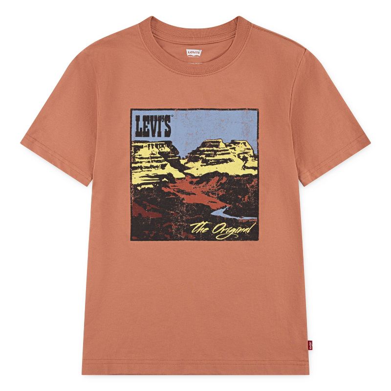 Levi's® Boys' Short Sleeve Graphic T-Shirt