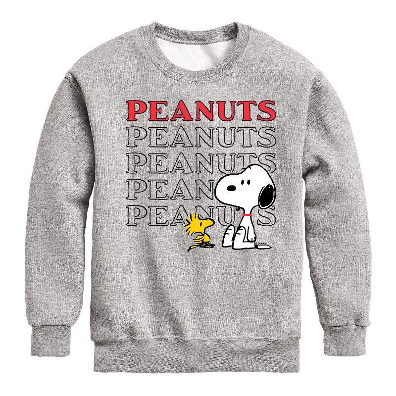 Boys' - Peanuts - Snoopy Woodstock Graphic Long Sleeve Fleece Sweatshirt