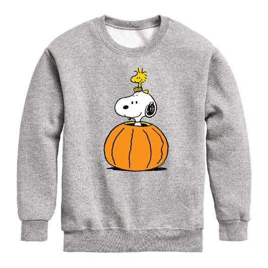 Boys' - Peanuts - Snoopy Woodstock Pumpkin Graphic Long Sleeve Fleece Sweatshirt