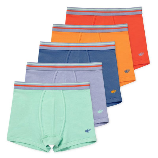 Lucy & Me Jameson Boys Performance Boxer Briefs Multi-Colored Multiple Sizes (5-Pack)