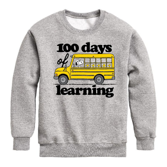 Boys' - Peanuts - 100 Days Of Learning Graphic Long Sleeve Fleece Sweatshirt