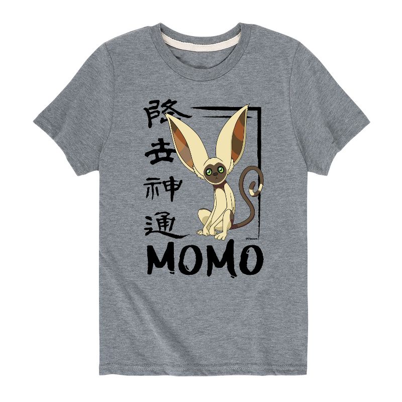 Boys' - Avatar: The Last Airbender - Momo Cute Short Sleeve Graphic T-Shirt