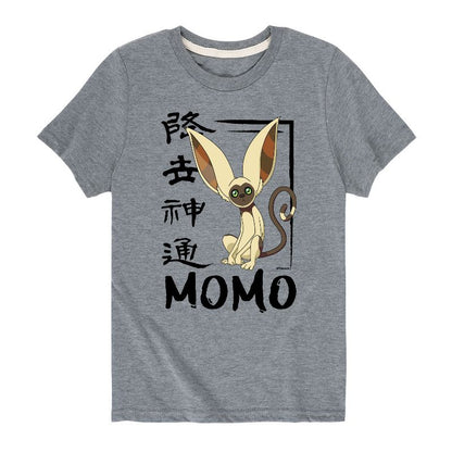 Boys' - Avatar: The Last Airbender - Momo Cute Short Sleeve Graphic T-Shirt