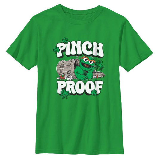 Boy's Sesame Street Pinch Proof T-Shirt