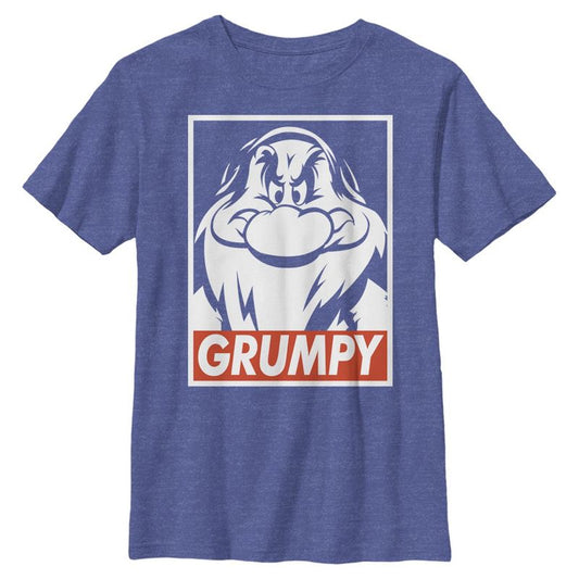 Boy's Snow White and the Seven Dwarves Grumps Box Logo T-Shirt