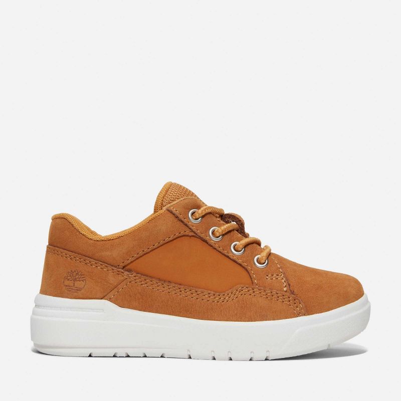 حذاء رياضي Timberland Toddler Allston Low Lace-Up