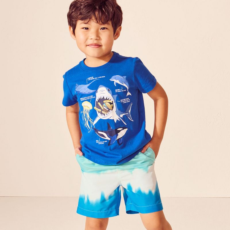 Lands' End Kids Graphic T Shirt