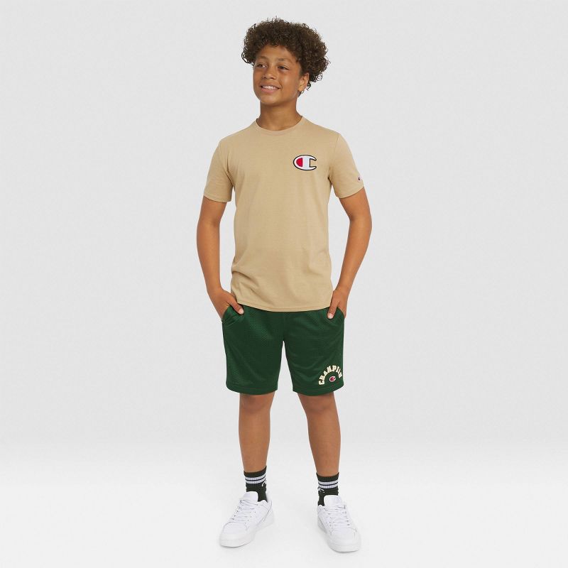 تي شيرت جرافيكي مميز من Champion Kids