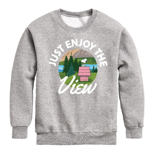 Boys' - Peanuts - Just Enjoy The View Graphic Long Sleeve Fleece Sweatshirt