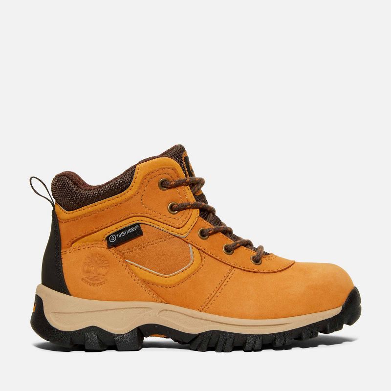 Timberland Youth Mt. Maddsen Waterproof Mid Hiking Boot