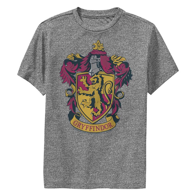تي شيرت هاري بوتر جريفندور المزخرف للأولاد