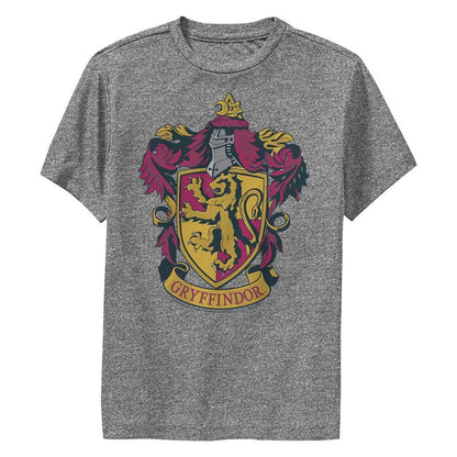 تي شيرت هاري بوتر جريفندور المزخرف للأولاد
