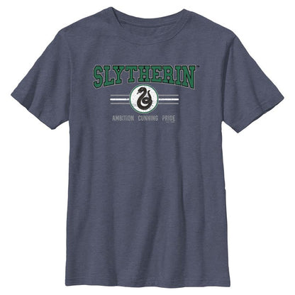 Boy's Harry Potter Distressed Slytherin Traits T-Shirt