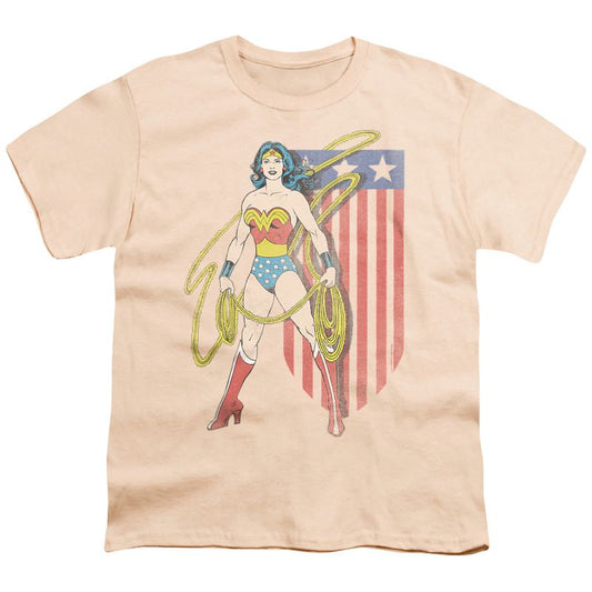 Boys' Dc Usa Banner T-Shirt