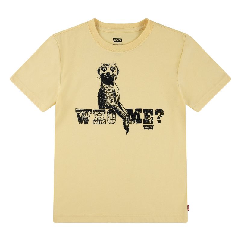 Levi's® Boys' Short Sleeve Graphic T-Shirt