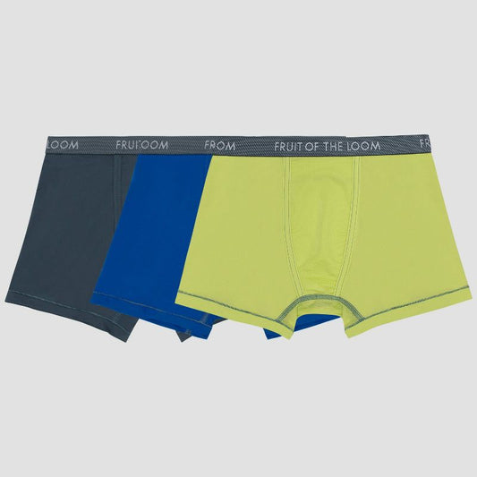 Fruit of the Loom Boys' 3pk Boxer Briefs - Gray/Blue