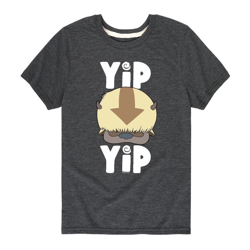 Boys' - Avatar: The Last Airbender - Cute Appa Yip Yip Short Sleeve Graphic T-Shirt
