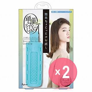 1 pc x 2 pcs