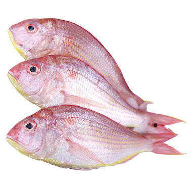 srcMediaId:gid://shopify/MediaImage/32272565993583