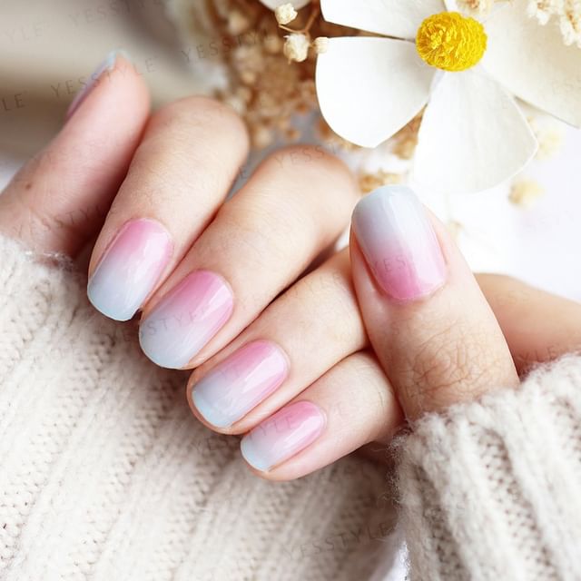 24 pcs