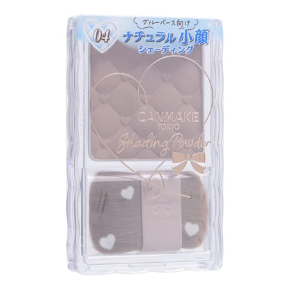 04 Ice Gray Brown