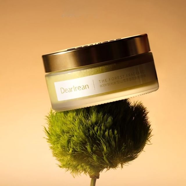 #The Forest - 225g