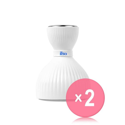 1 pc x 2 pcs