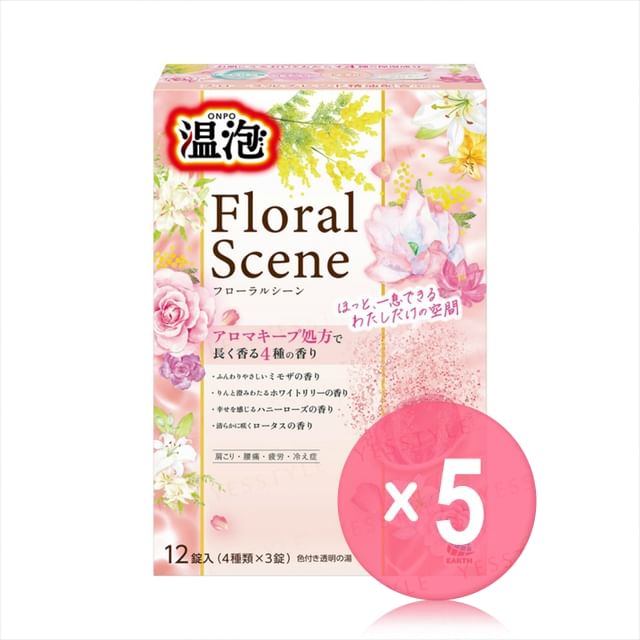 12 pcs x 5 pcs