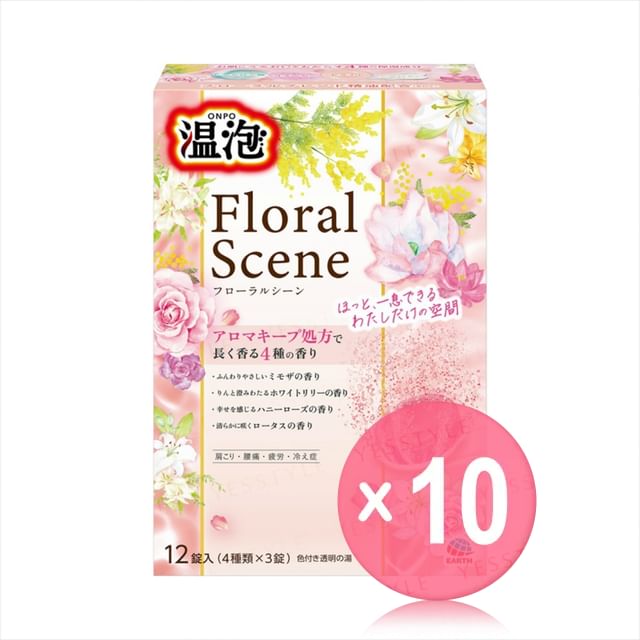 12 pcs x 10 pcs