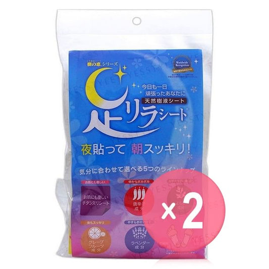 10 pcs x 2 pcs