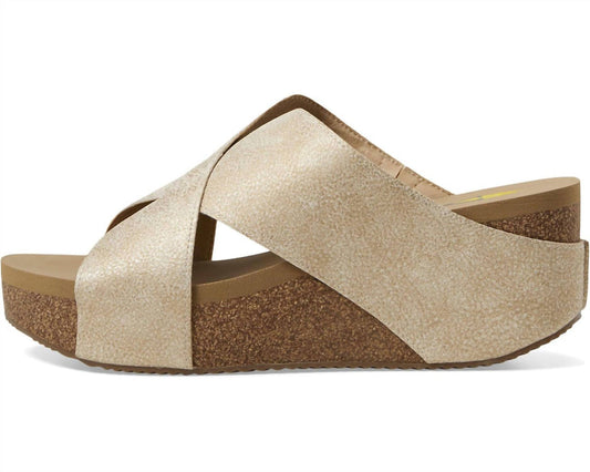 US 11 - gold