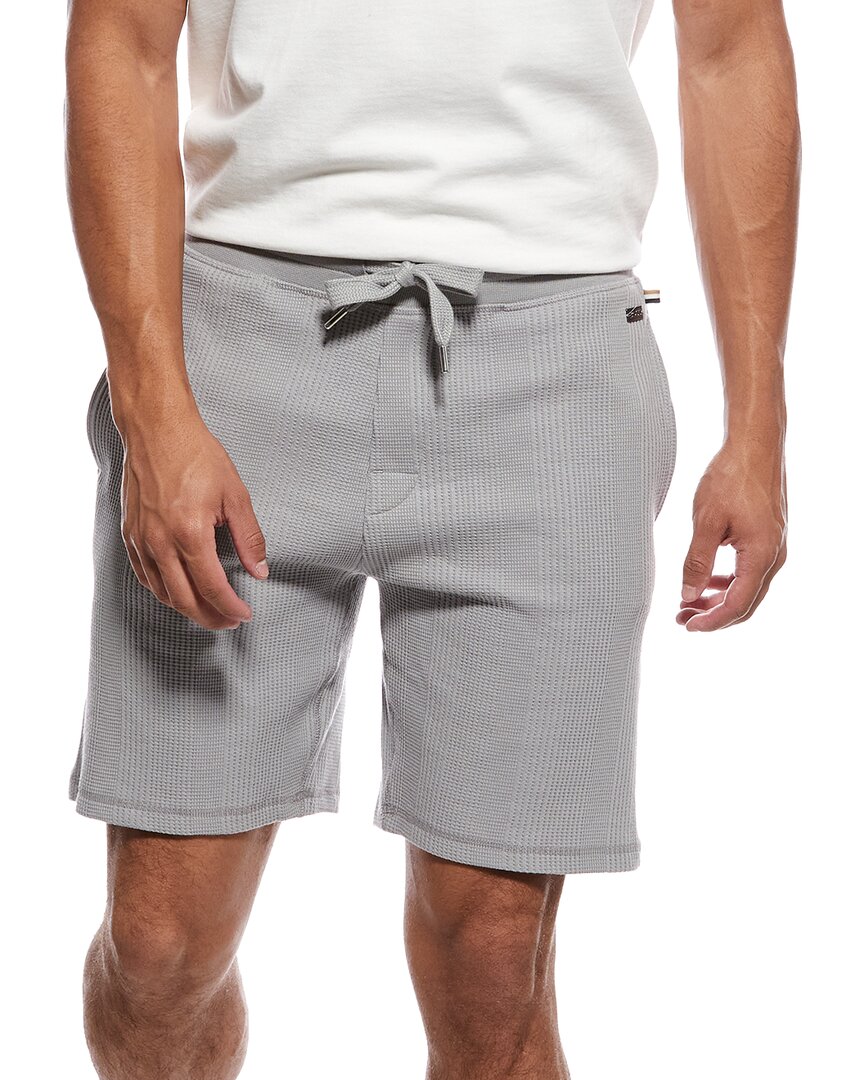 Large - grey