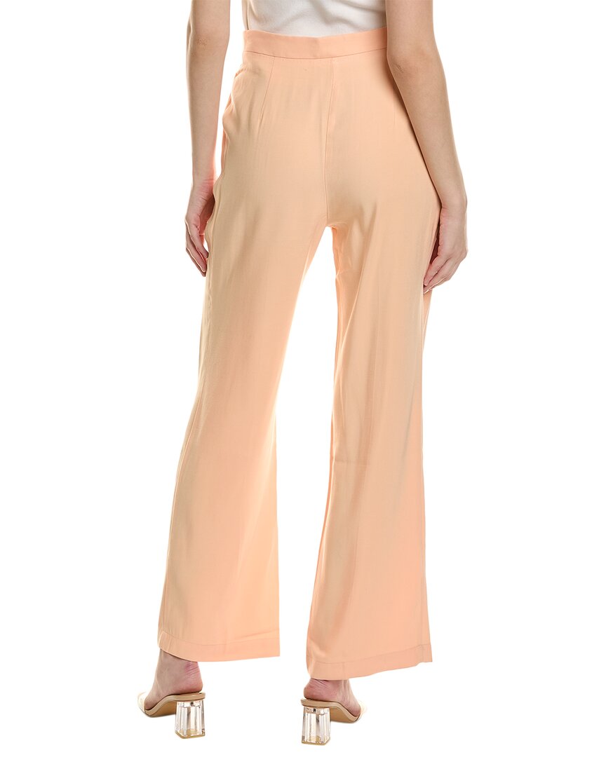 andres pant