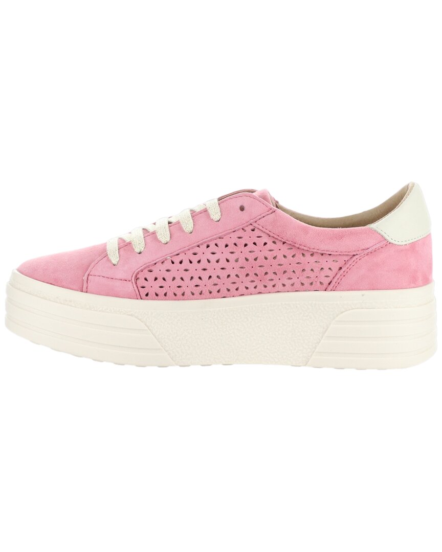 bos. & co. lotta suede shoe