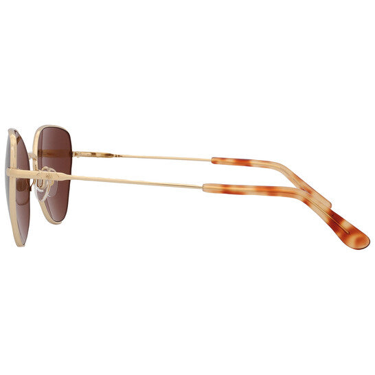 Brown Cat Eye Ladies Sunglasses