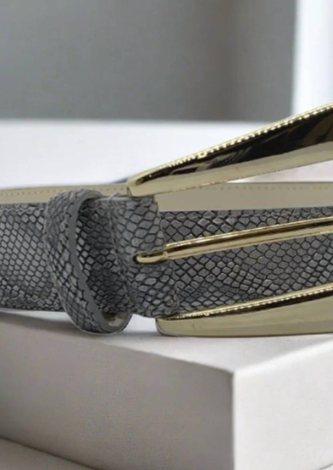women's exotic print bold buckle belt in grey metalic