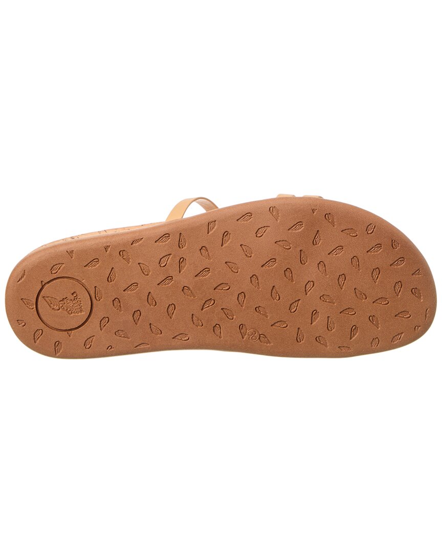 aspasia leather sandal