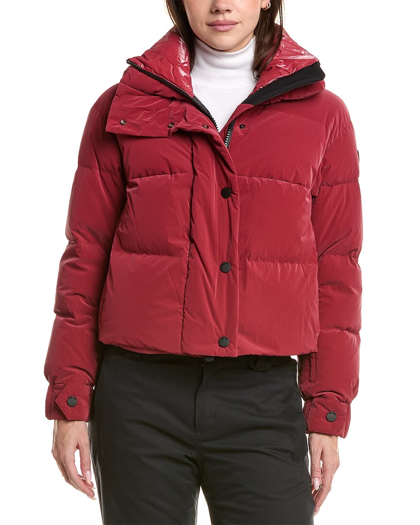 EU 40 (M) - red