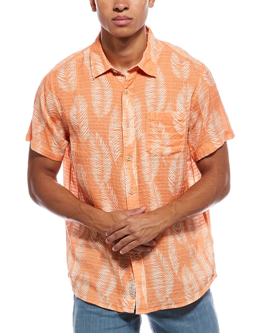Small - orange