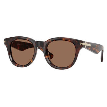 Dark Brown Round Men's Sunglasses
